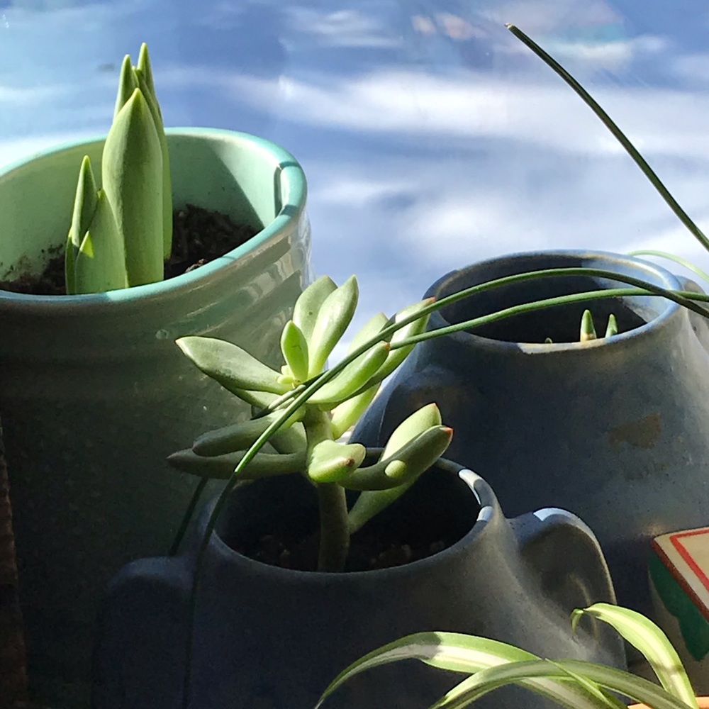 SpringTime🌸🤞 - Picture 13 of 16